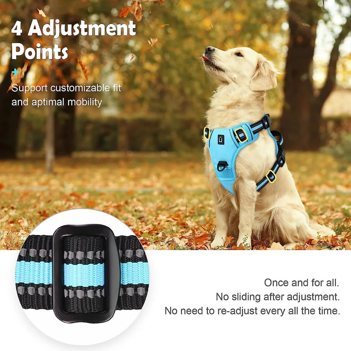 Petzrella Reflective No-Pull Dog Harness – Front-Clip Control - Petzrella Kft.