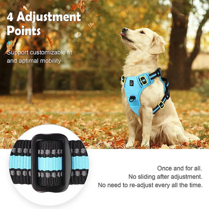 Petzrella Reflective No-Pull Dog Harness – Front-Clip Control - Petzrella Kft.