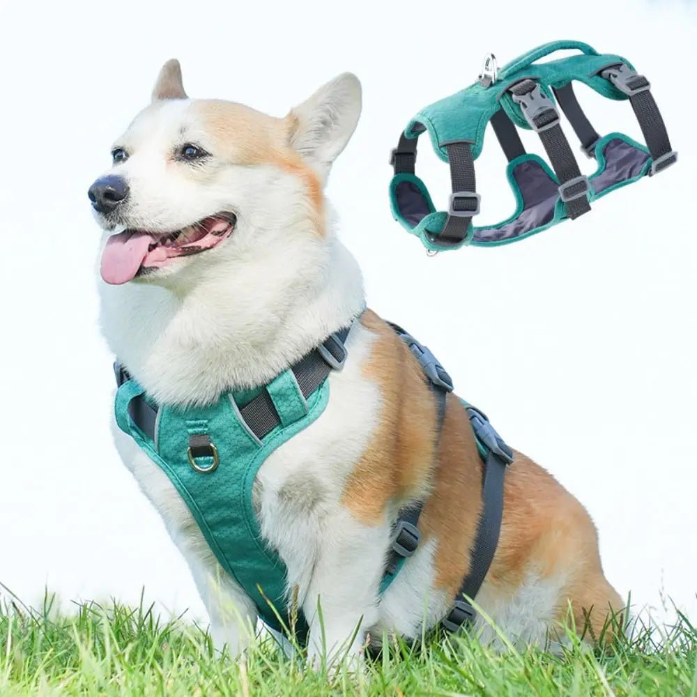 Petzrella Reflective Vest Dog Harness – Adjustable with Lift Handle - Petzrella Kft.