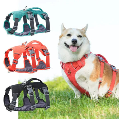 Petzrella Reflective Vest Dog Harness – Adjustable with Lift Handle - Petzrella Kft.