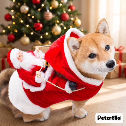 Dog wearing the Petzrella riding Santa Christmas costume next to a Christmas tree