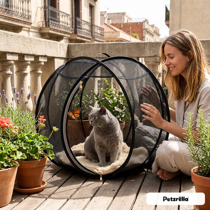 Petzrella Rolling Cat Ball on a balcony with a grey cat resting inside next to its owner