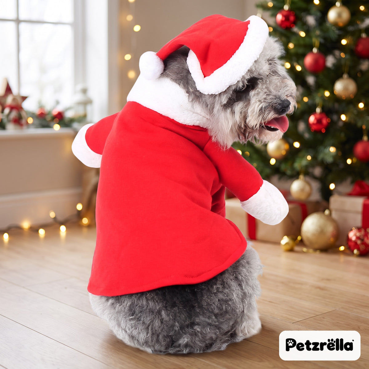 Petzrella Santa Claus pet costume from behind, dog in a Christmas living room