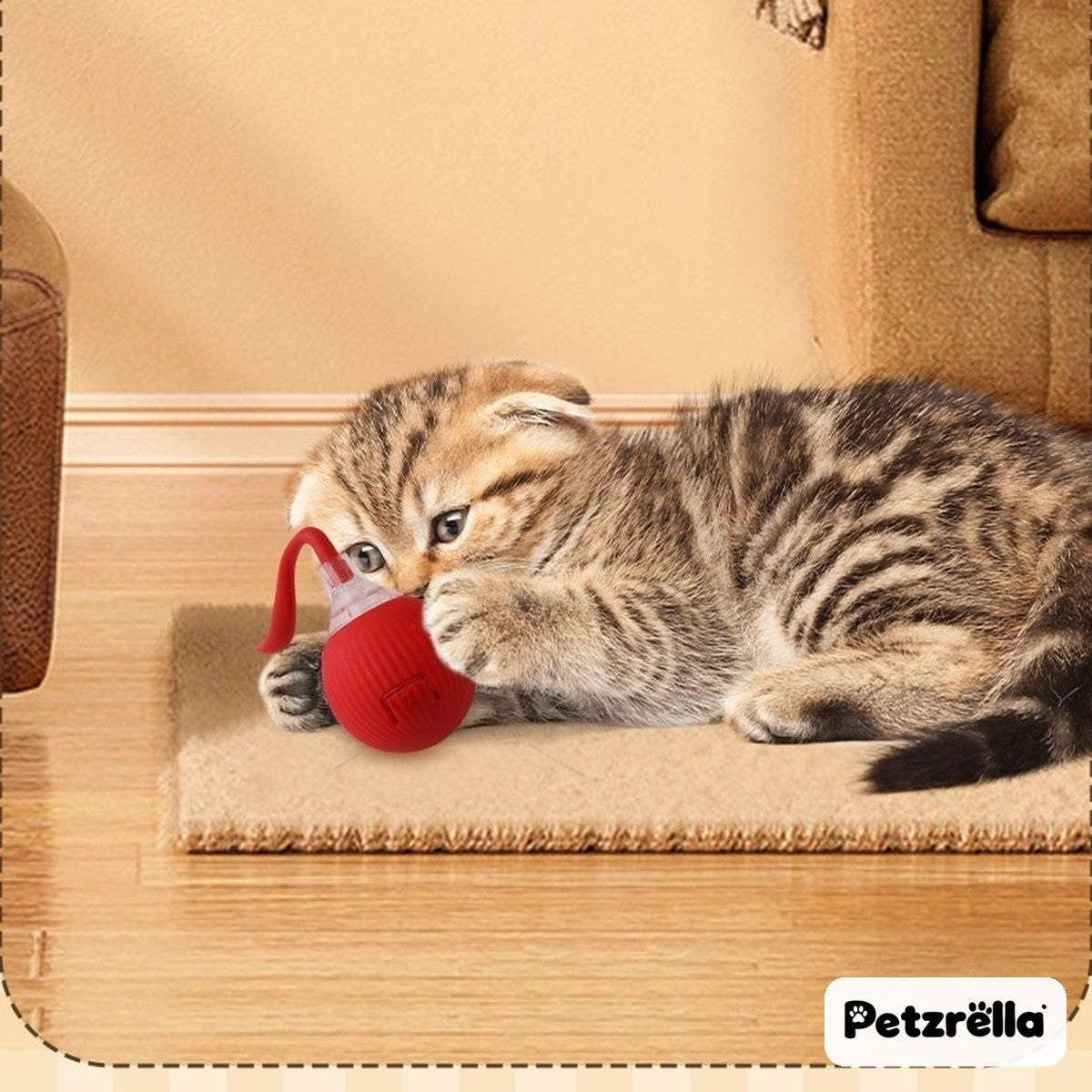 Kitten biting the soft silicone Petzrella rolling cat ball