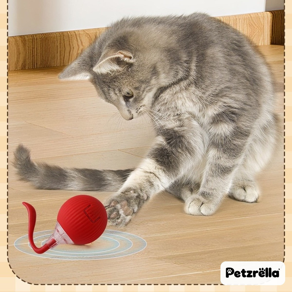 Cat chasing the Petzrella electric rolling cat ball on a wooden floor