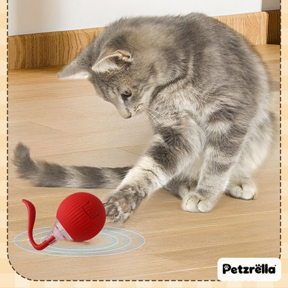 Cat chasing the Petzrella electric rolling cat ball on a wooden floor