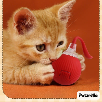 Kitten playing with the Petzrella smart rolling cat ball, red magic tail