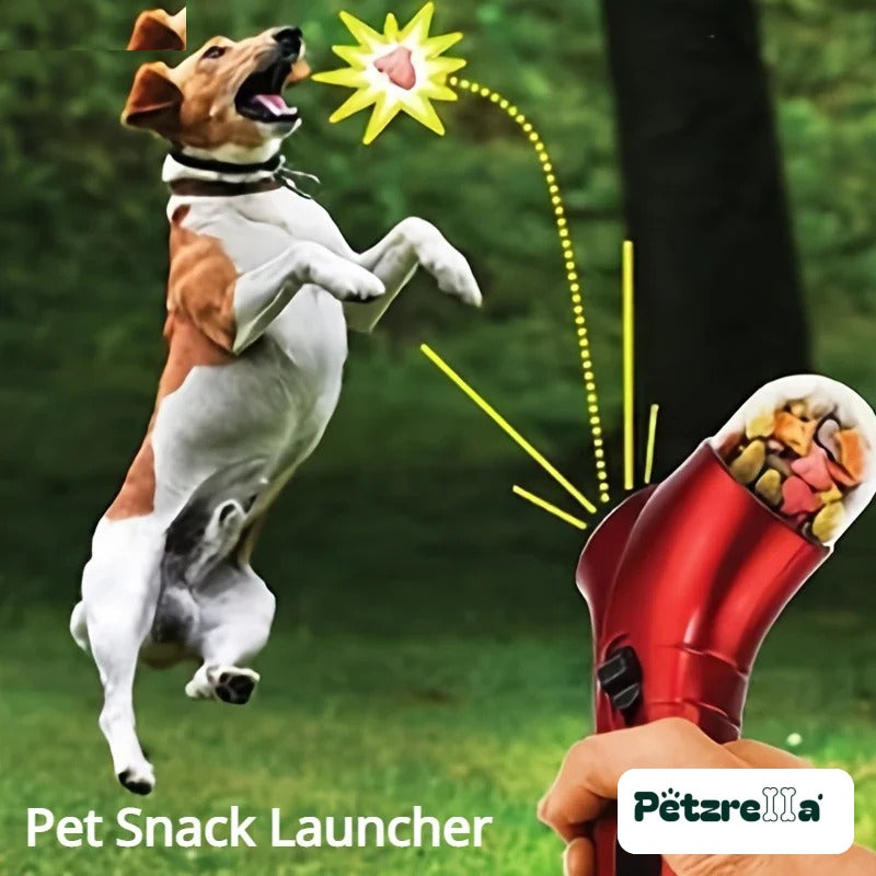 Dog catching a treat shot from the Petzrella treat launcher