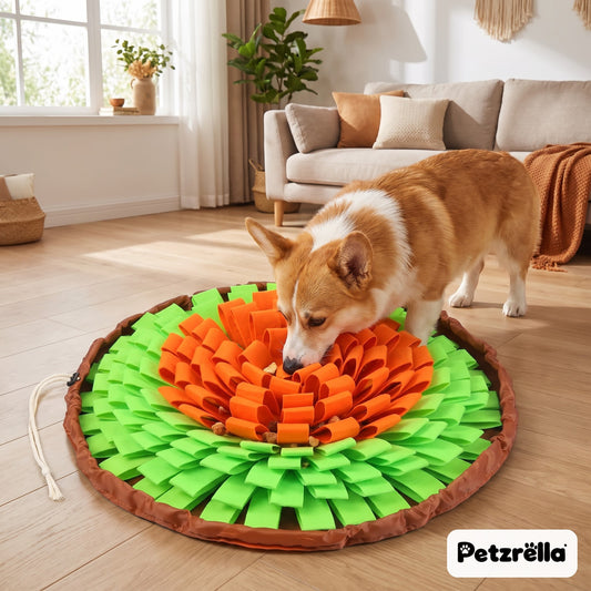 Petzrella dog snuffle mat in green and orange with a corgi sniffing for treats in a living room
