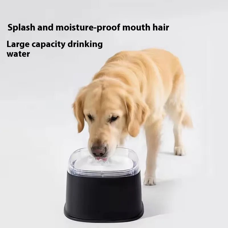 Petzrella Splash-Proof Floating Water Bowl for Dogs & Cats - Petzrella Kft.