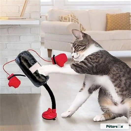 Petzrella Suction Cup Boxing Toy for Cats - Petzrella Kft.