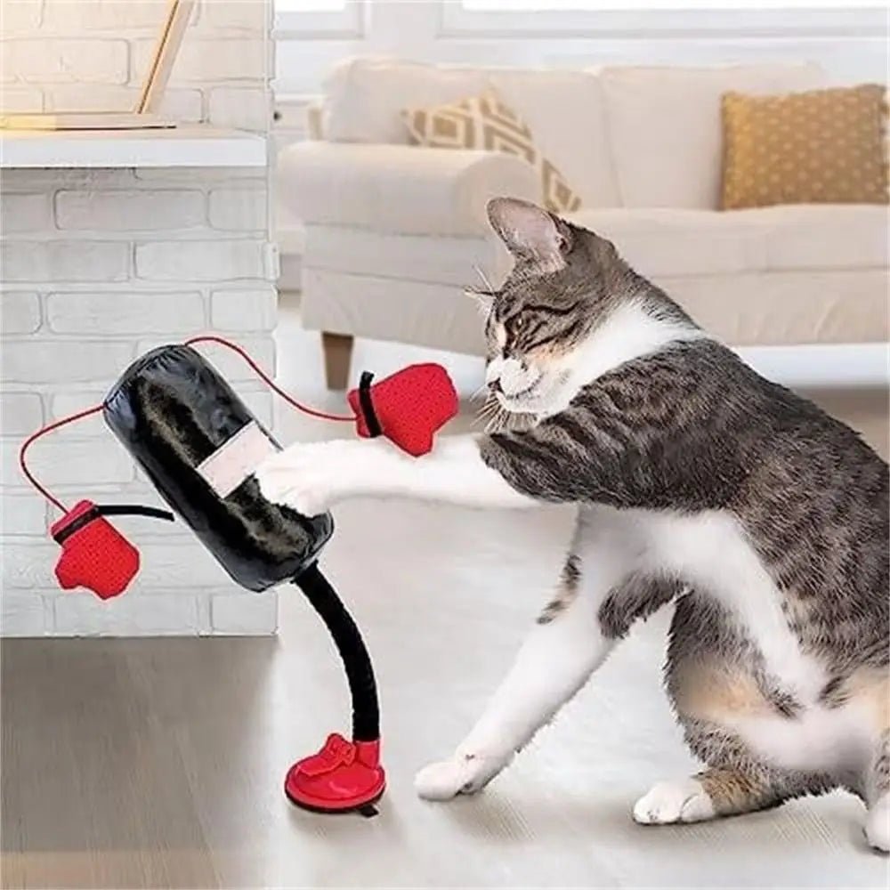 Petzrella Suction Cup Boxing Toy for Cats - Petzrella Kft.