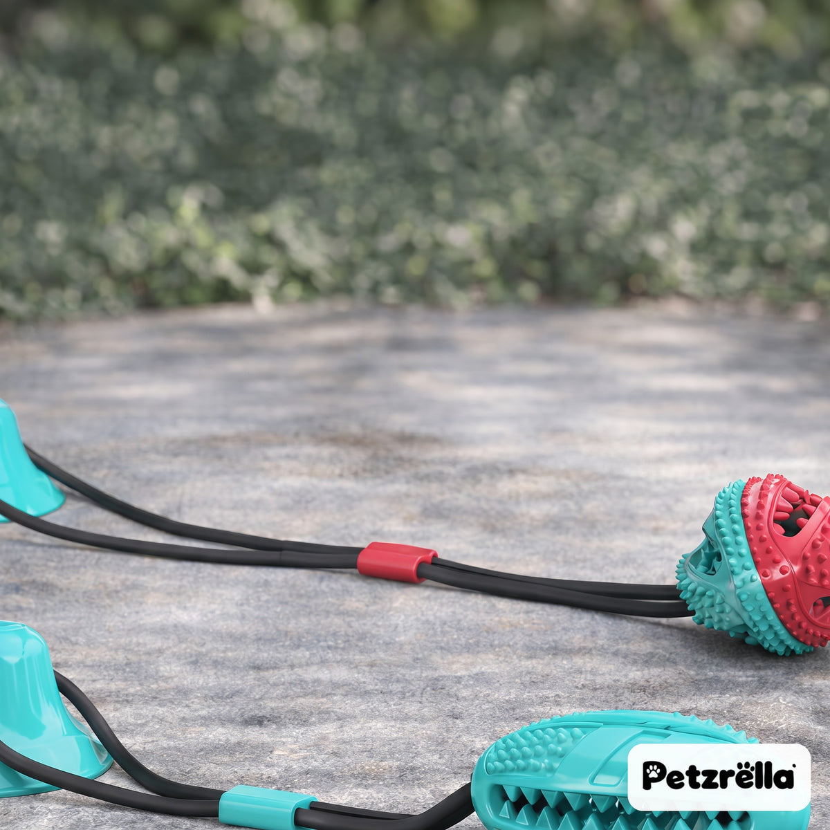 Petzrella suction tug toys for dogs, ball and chew style, lying on a stone patio