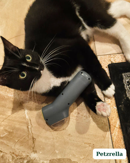 Petzrella Lanceur de Friandises Interactif pour Chien