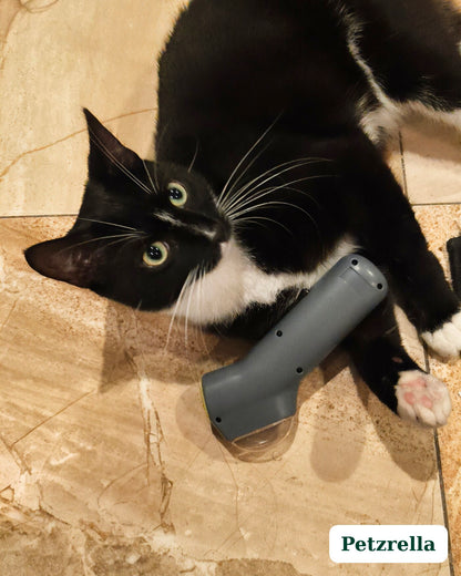 Petzrella Lanceur de Friandises Interactif pour Chien