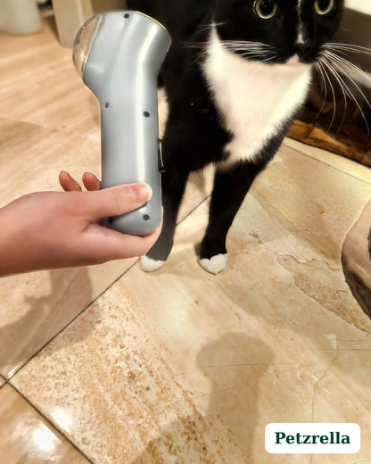 Petzrella Lanceur de Friandises Interactif pour Chien