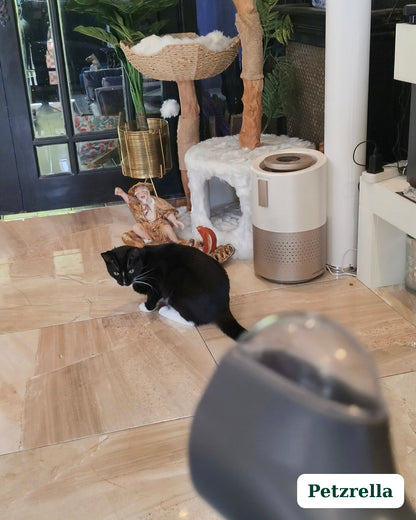 Petzrella Lanceur de Friandises Interactif pour Chien