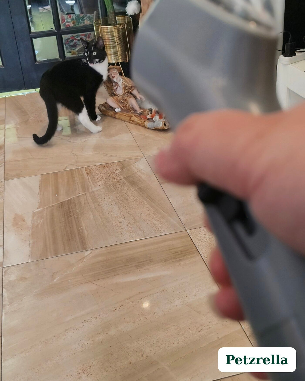 Petzrella Lanceur de Friandises Interactif pour Chien