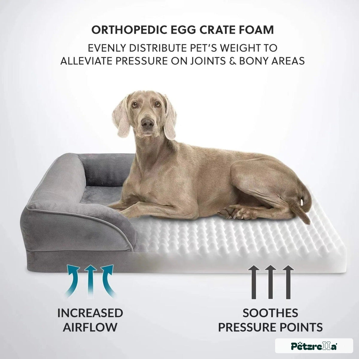 Petzrella XL Waterproof Orthopedic Dog Sofa Bed with Cushion Foam - Petzrella Kft.