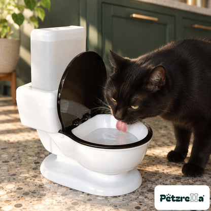 Black cat drinking from the Petzrella Royal Refresh cat water dispenser