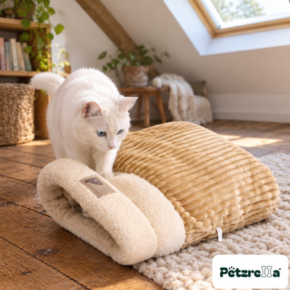 White cat stepping into the Petzrella plush heated cat bed in an attic room