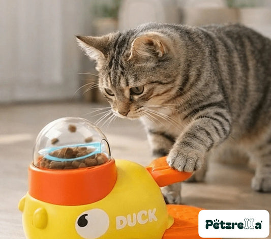 Petzrella Quack n Snack Puzzle Feeder