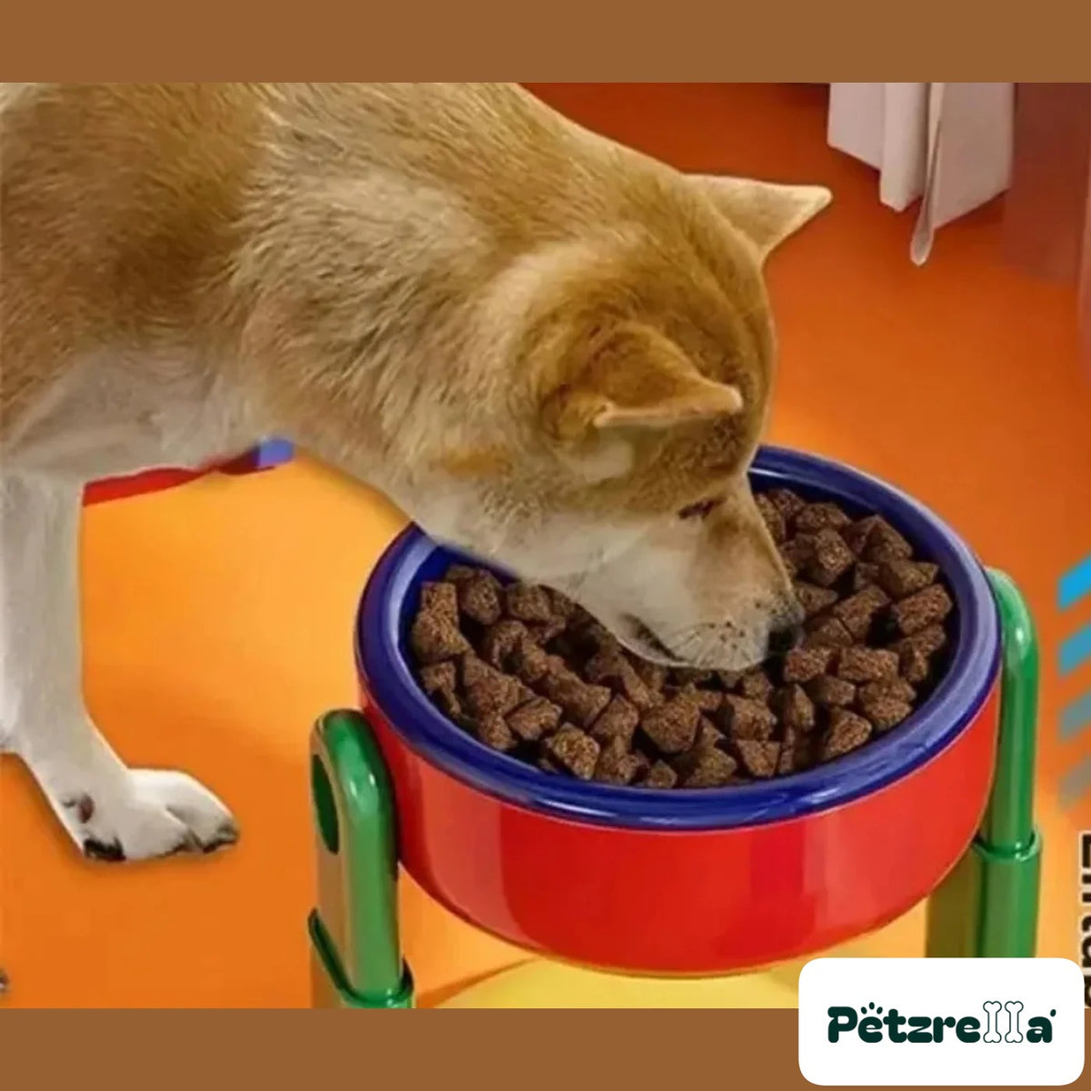 Petzrella Adjustable Double Feeding Bowl – Foldable Bowl Set