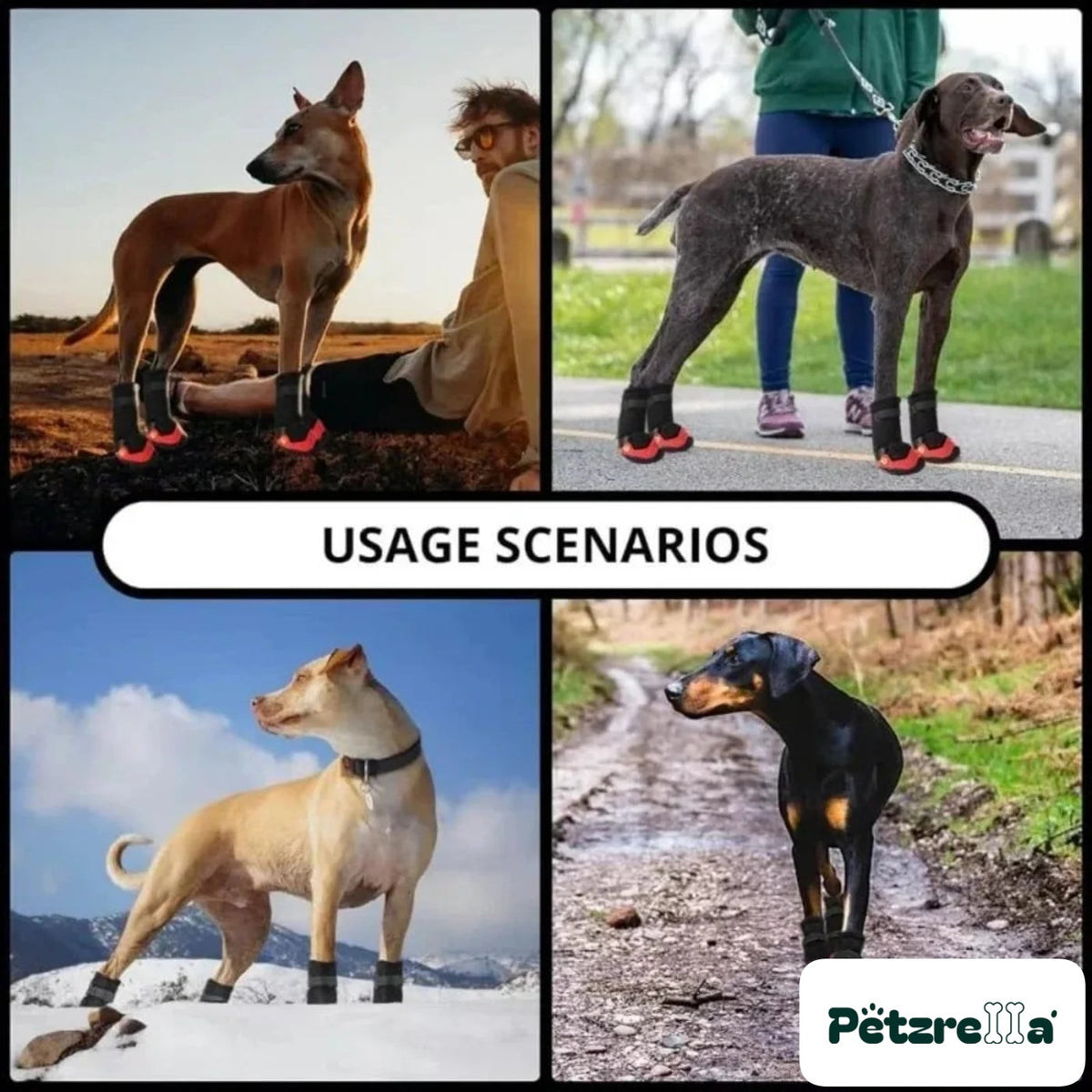 Petzrella All-Weather Rugged Dog Boots – view 2