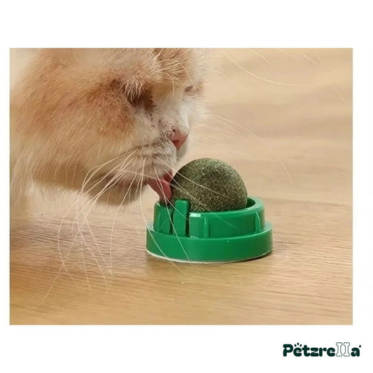 Petzrella Catnip Cat Wall Ball – Self-Rotating Cat Toy with Dental Care