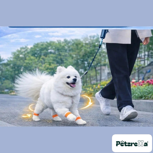 Petzrella Disposable Paw Protection Booties – Clean & Hygienic