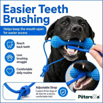 Petzrella Dog Dental Chew Toy – rope handle for tug play