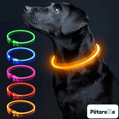 Petzrella LED Light-Up Pet Collar – Yellow / Maximum size 50cm