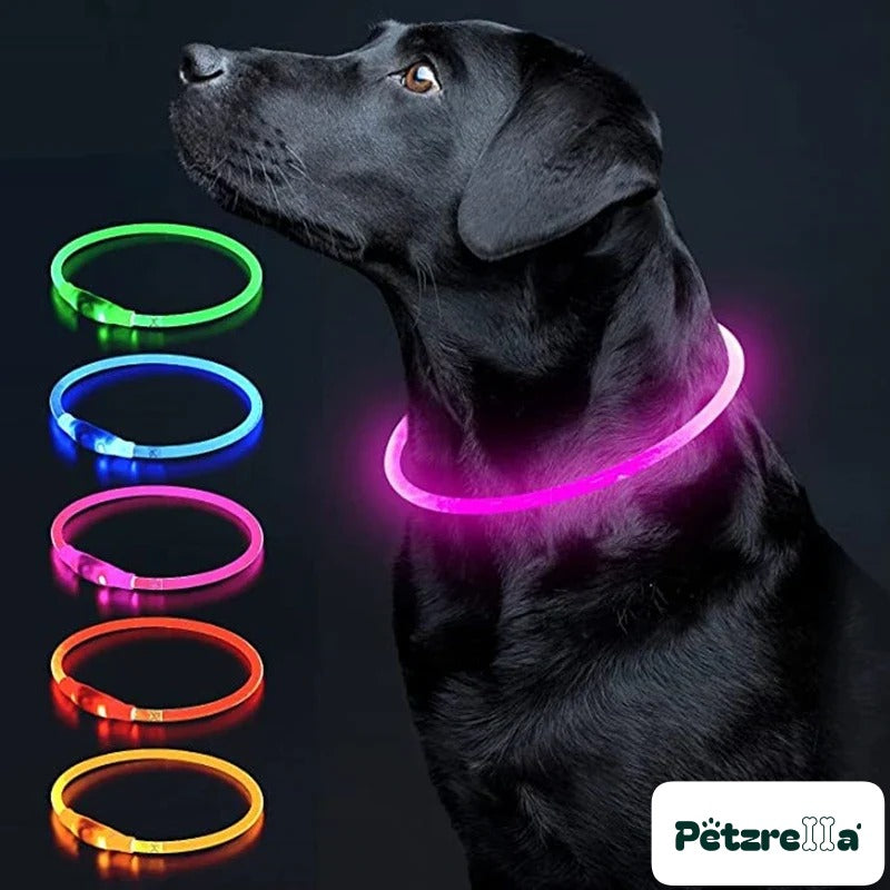 Petzrella LED Light-Up Pet Collar – Pink / Maximum size 50cm