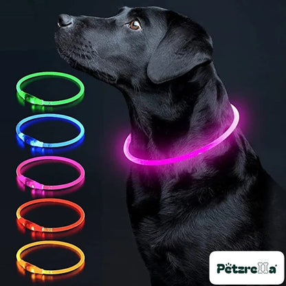 Petzrella LED Light-Up Pet Collar – Pink / Maximum size 50cm