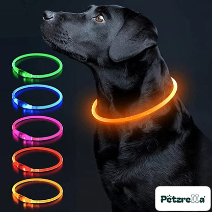 Petzrella LED Light-Up Pet Collar – Orange / Maximum size 50cm