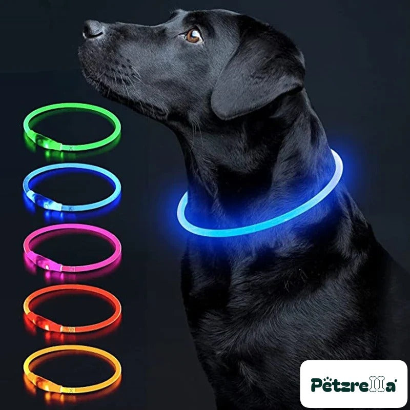 Petzrella LED Light-Up Pet Collar – Blue / Maximum size 50cm