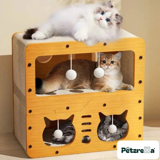 Petzrella Modern Wooden Scratcher Lounge – Wood