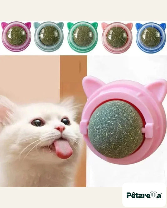 Petzrella Natural Catnip Dental Chew Toy Set for Indoor Cats