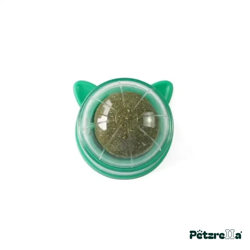 Petzrella Natural Catnip Dental Chew Toy Set for Indoor Cats – Green