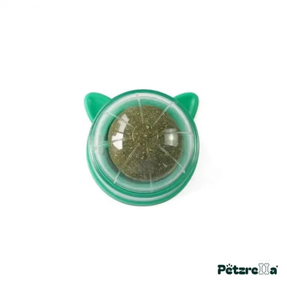 Petzrella Natural Catnip Dental Chew Toy Set for Indoor Cats – Green