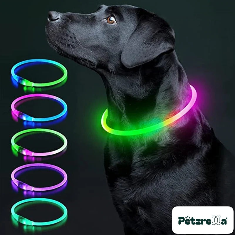 Petzrella LED Light-Up Pet Collar – USB Rechargeable
