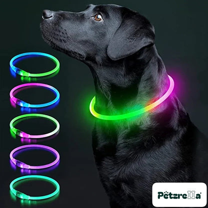 Petzrella LED Light-Up Pet Collar – USB Rechargeable