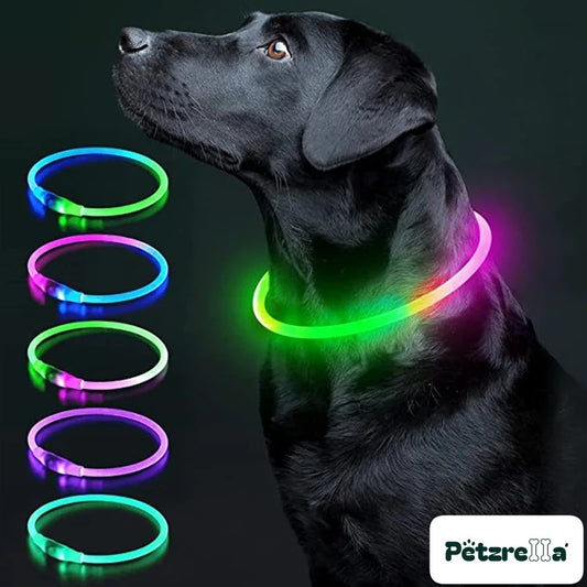 Petzrella LED Light-Up Pet Collar – USB Rechargeable