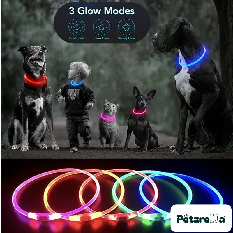 Petzrella LED Light-Up Pet Collar – view 2
