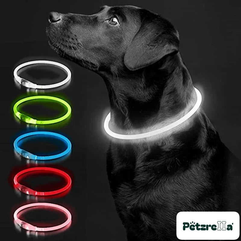 Petzrella LED Light-Up Pet Collar – White / Maximum size 50cm