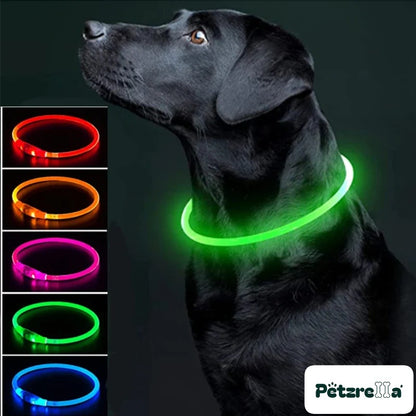 Petzrella LED Light-Up Pet Collar – Green / Maximum size 50cm