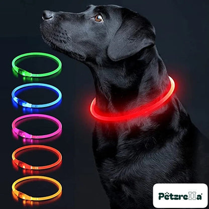 Petzrella LED Light-Up Pet Collar – Red / Maximum size 70cm