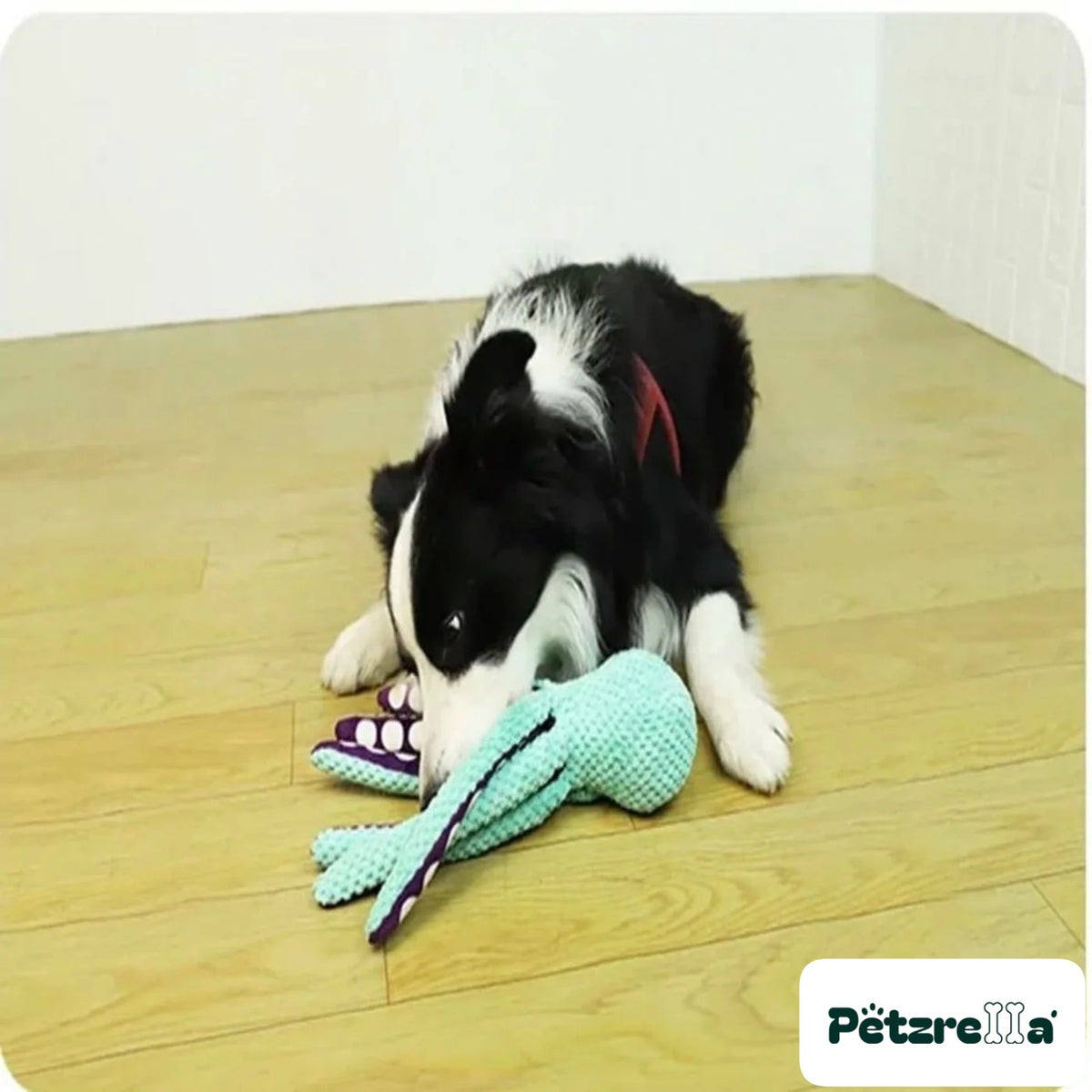 Petzrella OctoSqueak Interactive Dog Toy – view 2