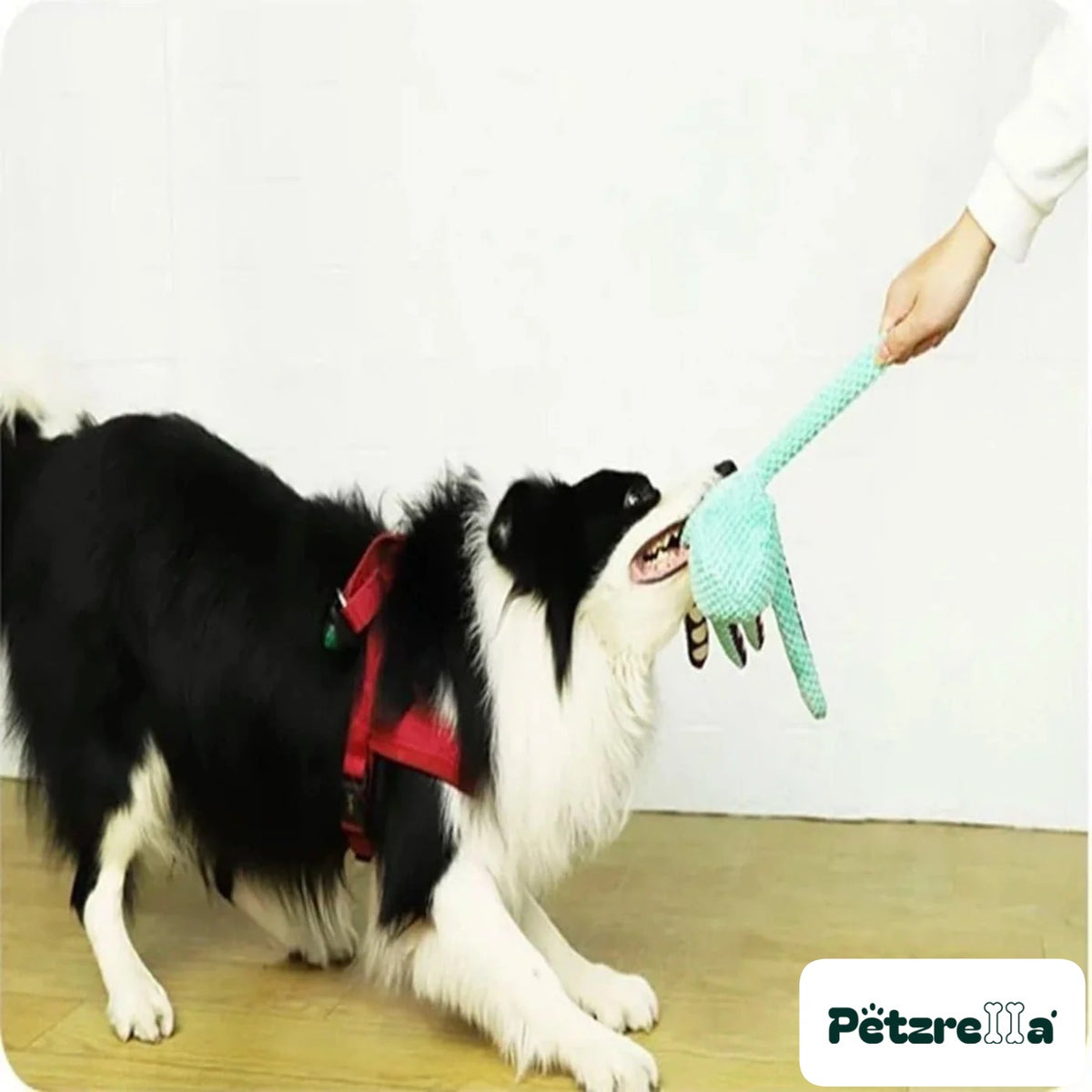 Petzrella OctoSqueak Interactive Dog Toy – view 3