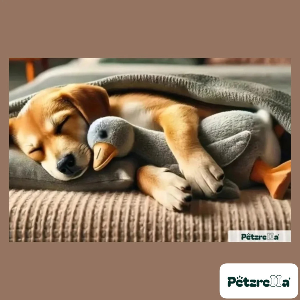 Petzrella Plush Duck Toy for Dogs – Grey